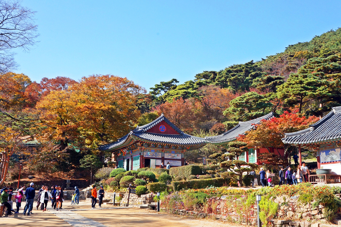 인천 단풍 명소 BEST 04 단풍 나들이 가볼만한곳