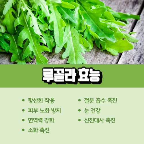 루꼴라_효능