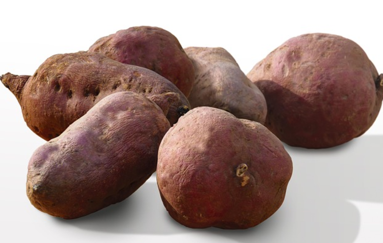 신장에 좋은 음식