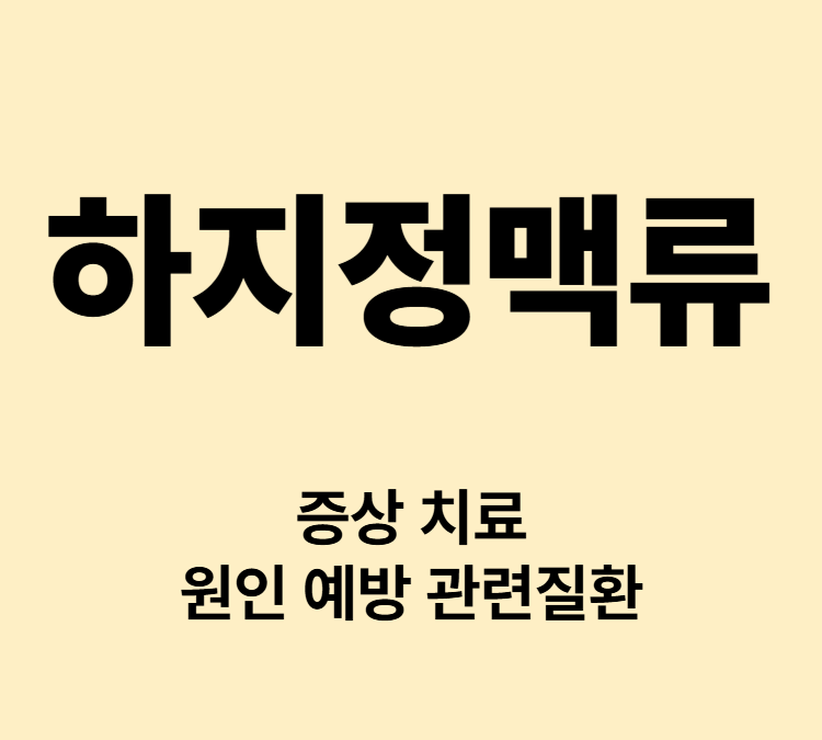 다리 피부 정맥돌출 부종 습진 궤양 하지정맥류 증상 병원치료