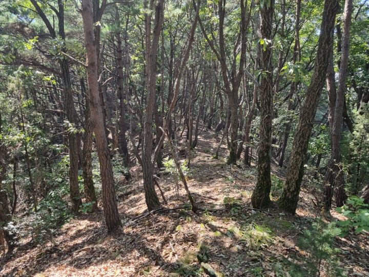 능선길