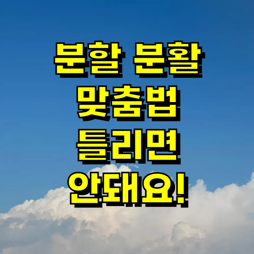 분할 분활 맞춤법 틀리면 안돼요!