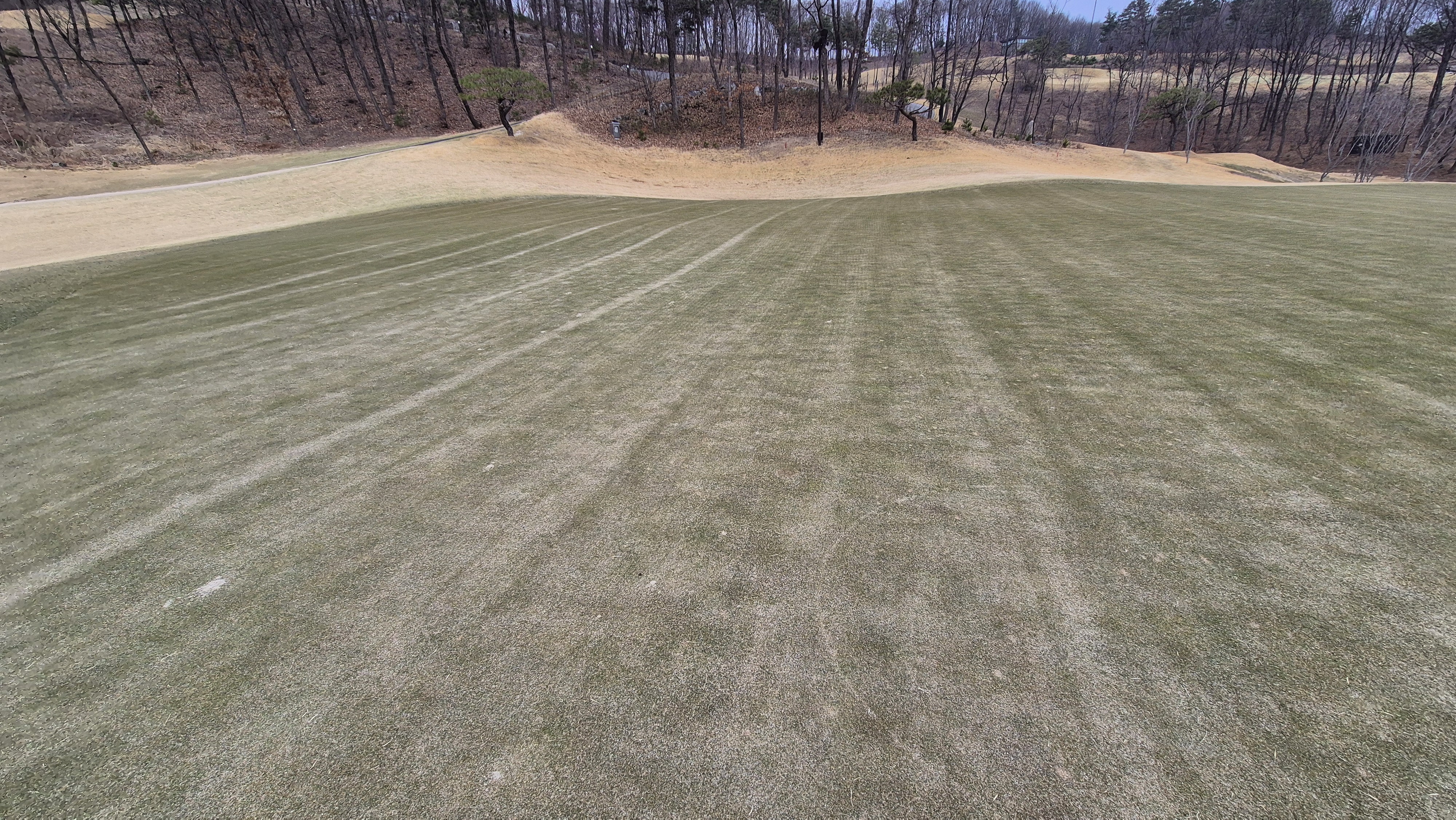 세현cc 그린 빠르기 및 난이도