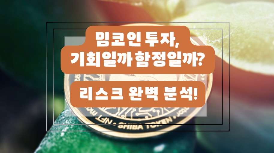 밈코인 리스크 분석