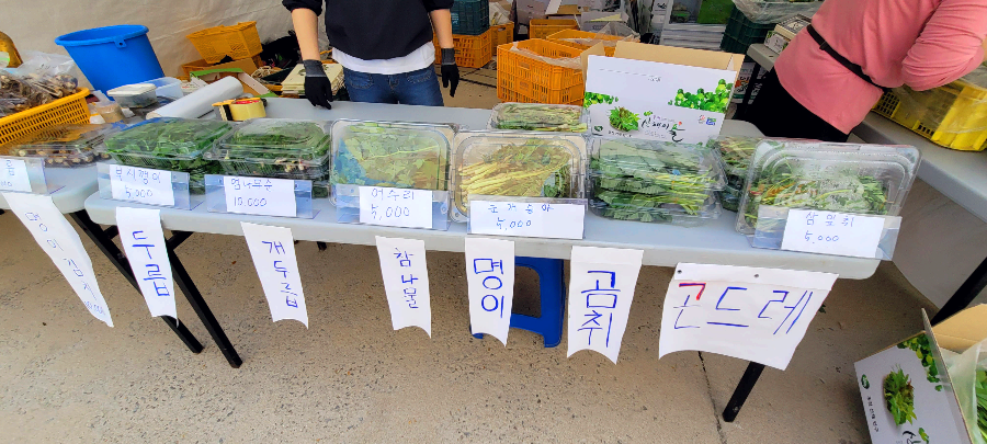산나물2