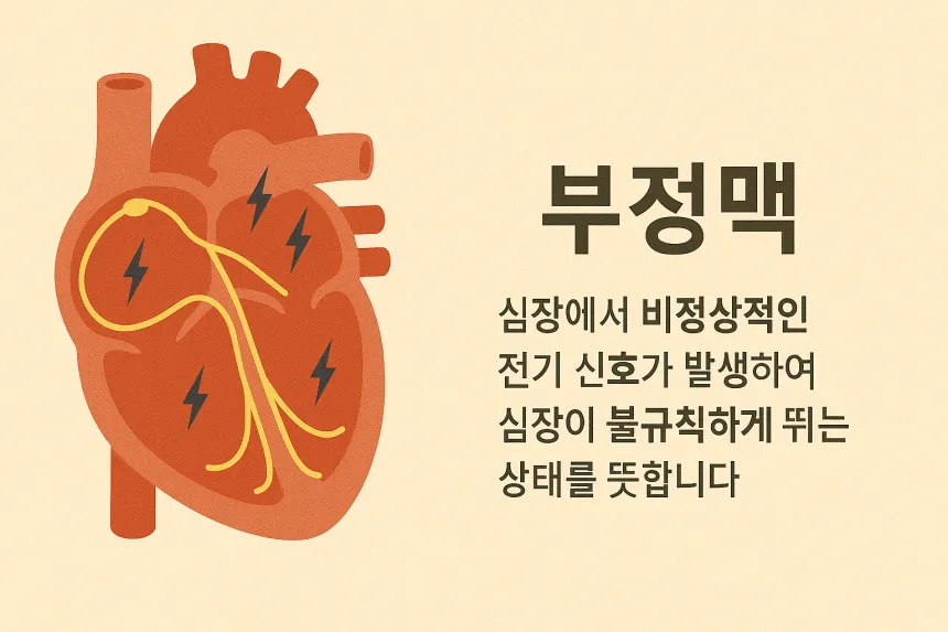 부정맥 증상