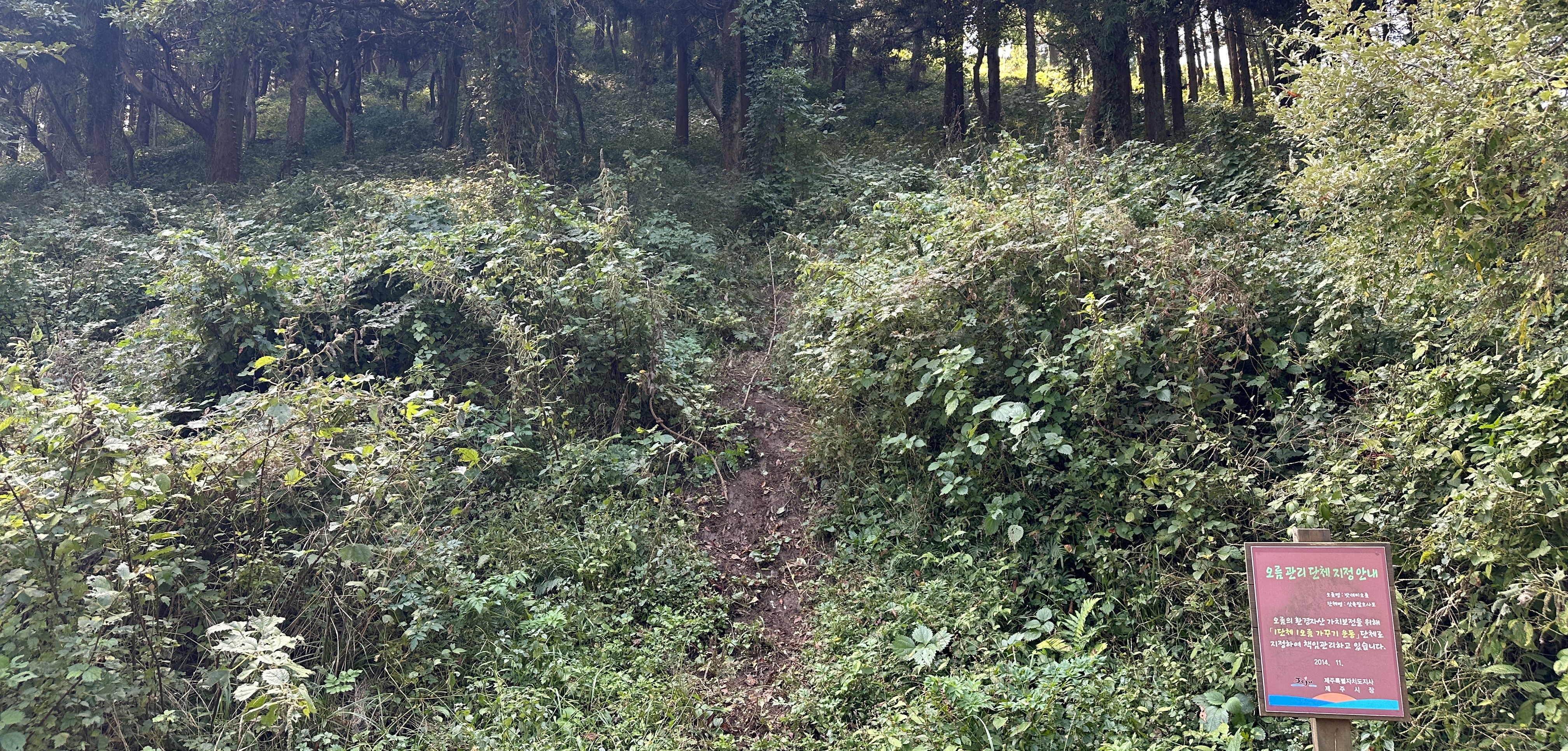 밧세미 오름 입구