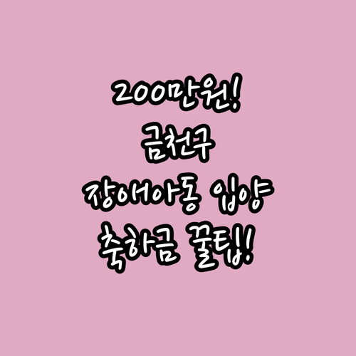 2025년 장애 아동 입양 200만원..