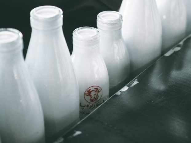 산양유 초유 단백질