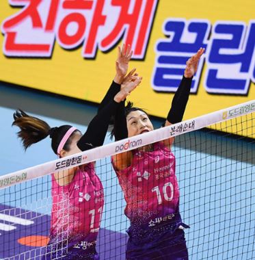 김연경 매진 흥국생명 은퇴 투어 경기일정