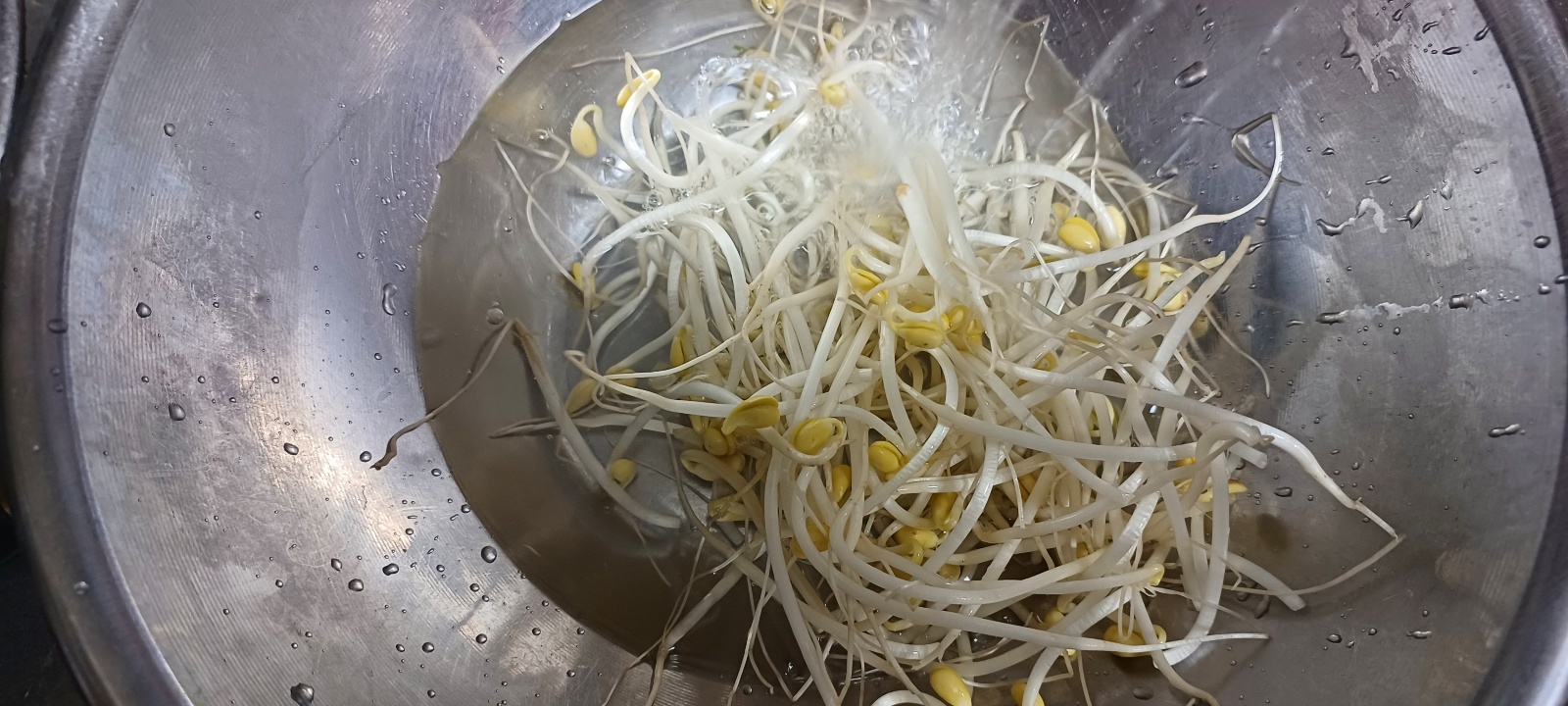 콩나물 씻기