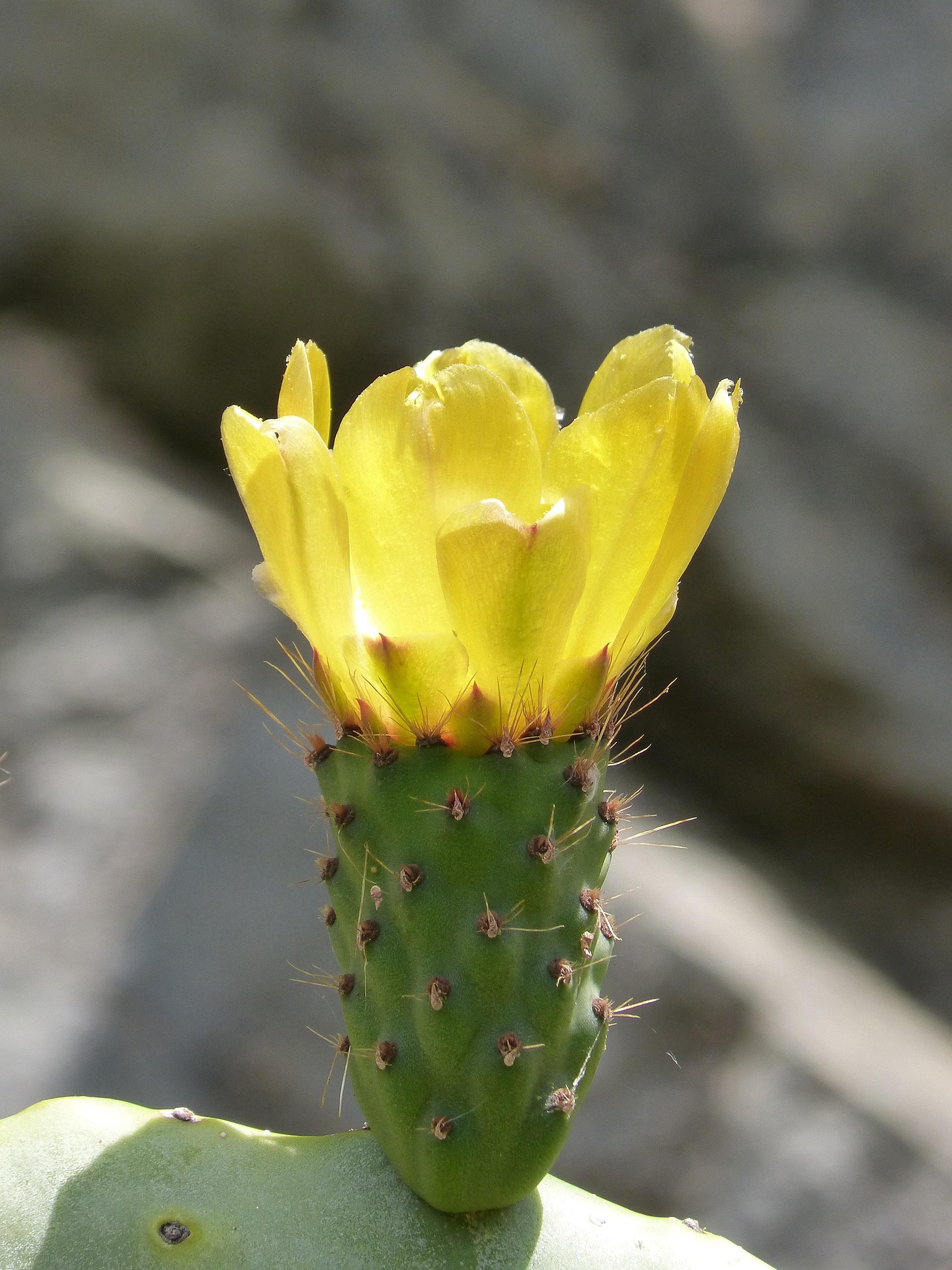 항문질환 초기 관리가 중요한 이유