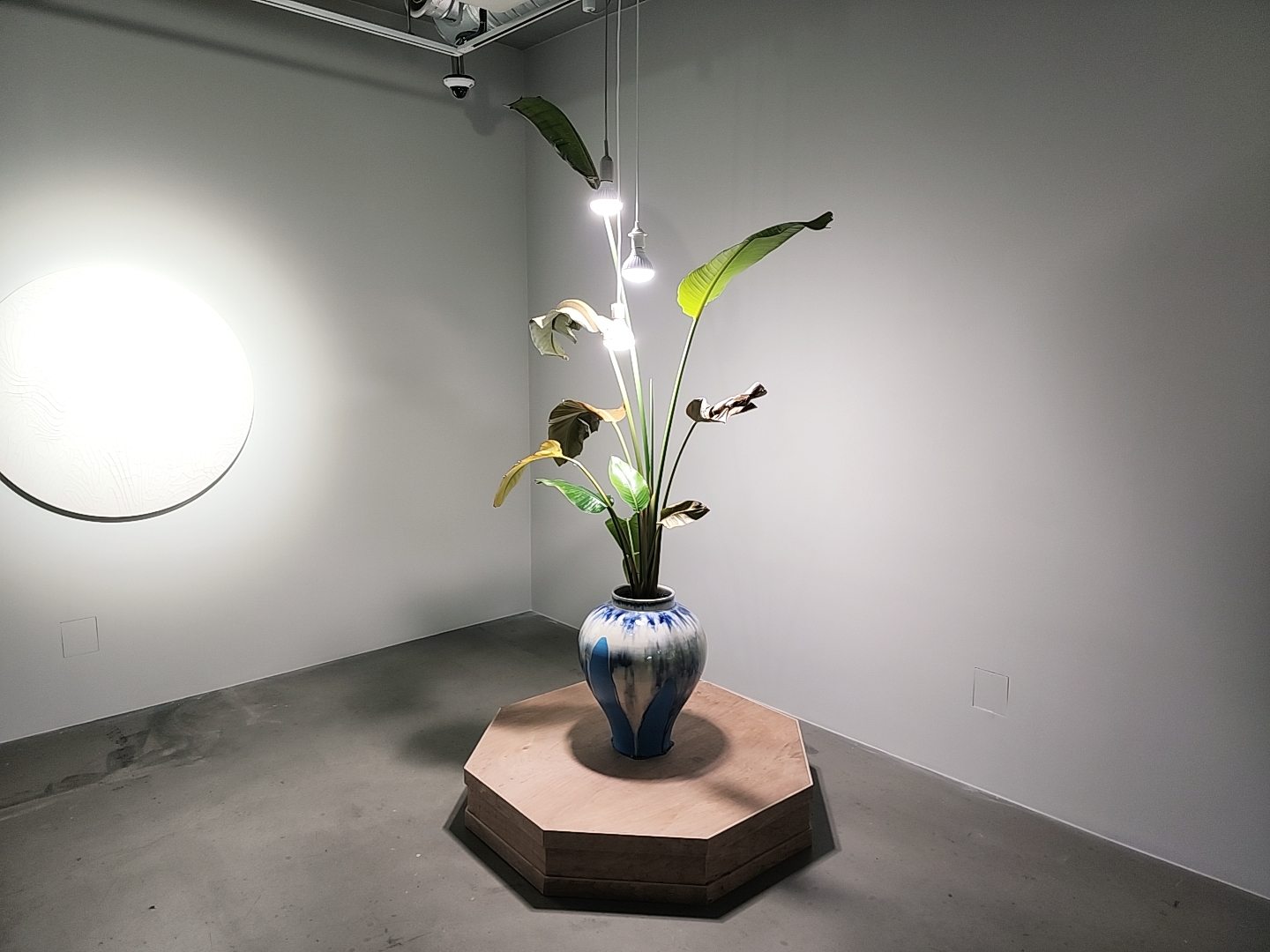 김준명_유의정_주세균 작품1