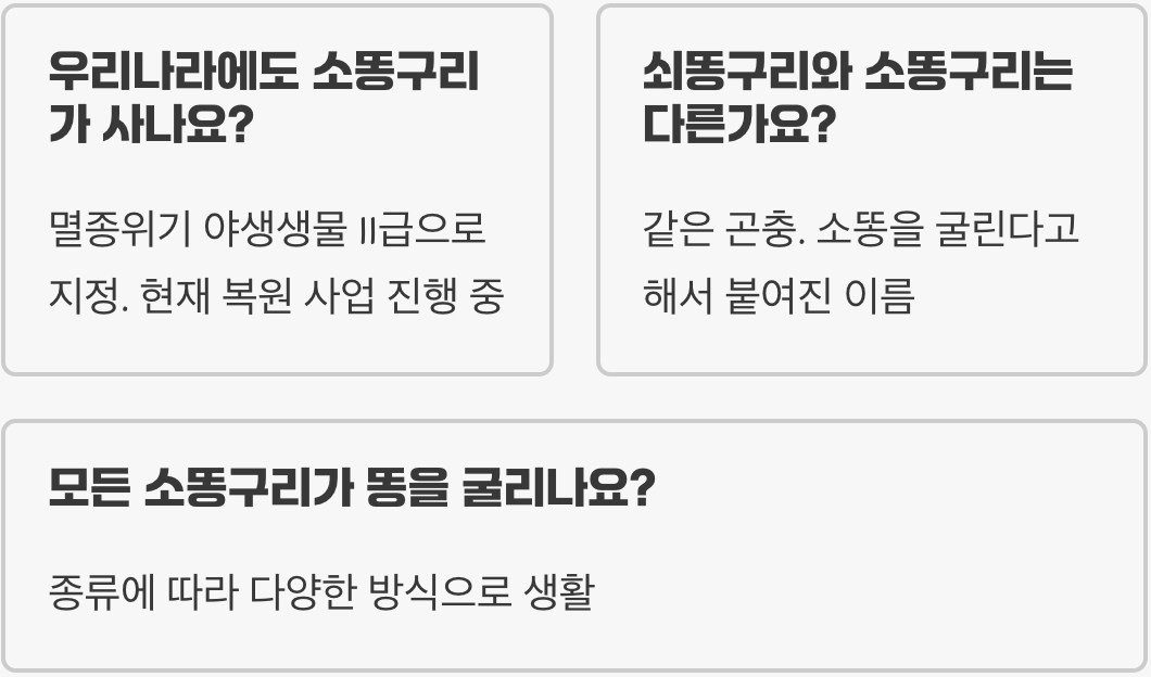 아이와 함께 읽는 파브르 곤충기, 주인공 소똥구리 이야기 A to Z