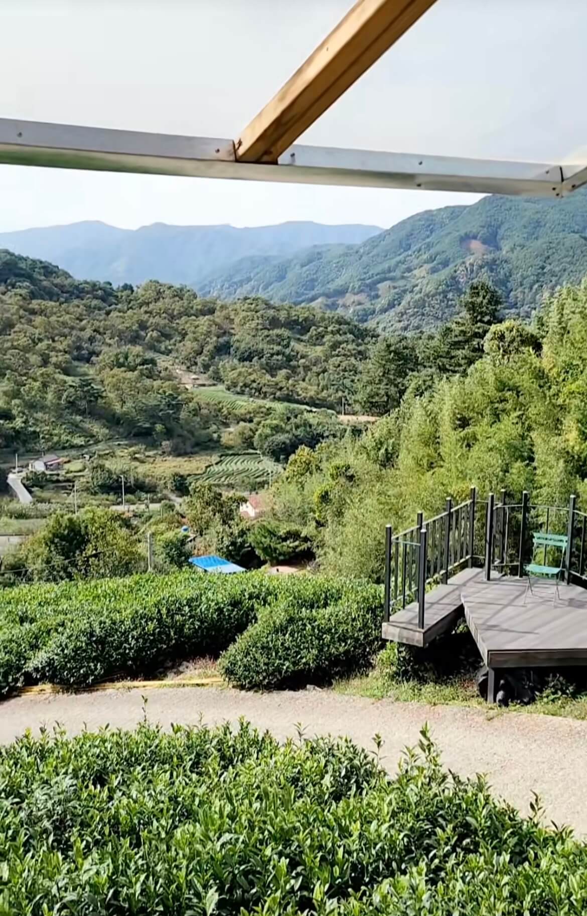 오늘 방송! 6시 내고향 전남 화순 전통 장 & 경남 하동 도심다원 위치 어디? 관련사진