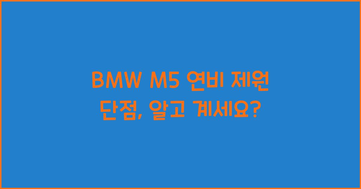 BMW M5 연비 제원 단점