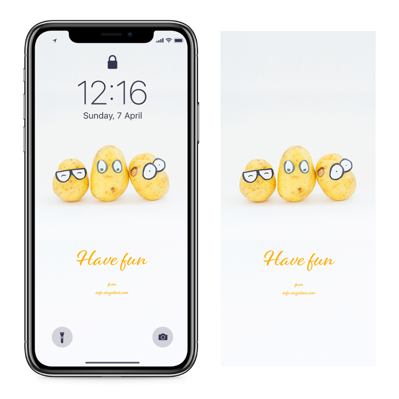 05 감자 C - Have fun 아이폰귀여운배경화면