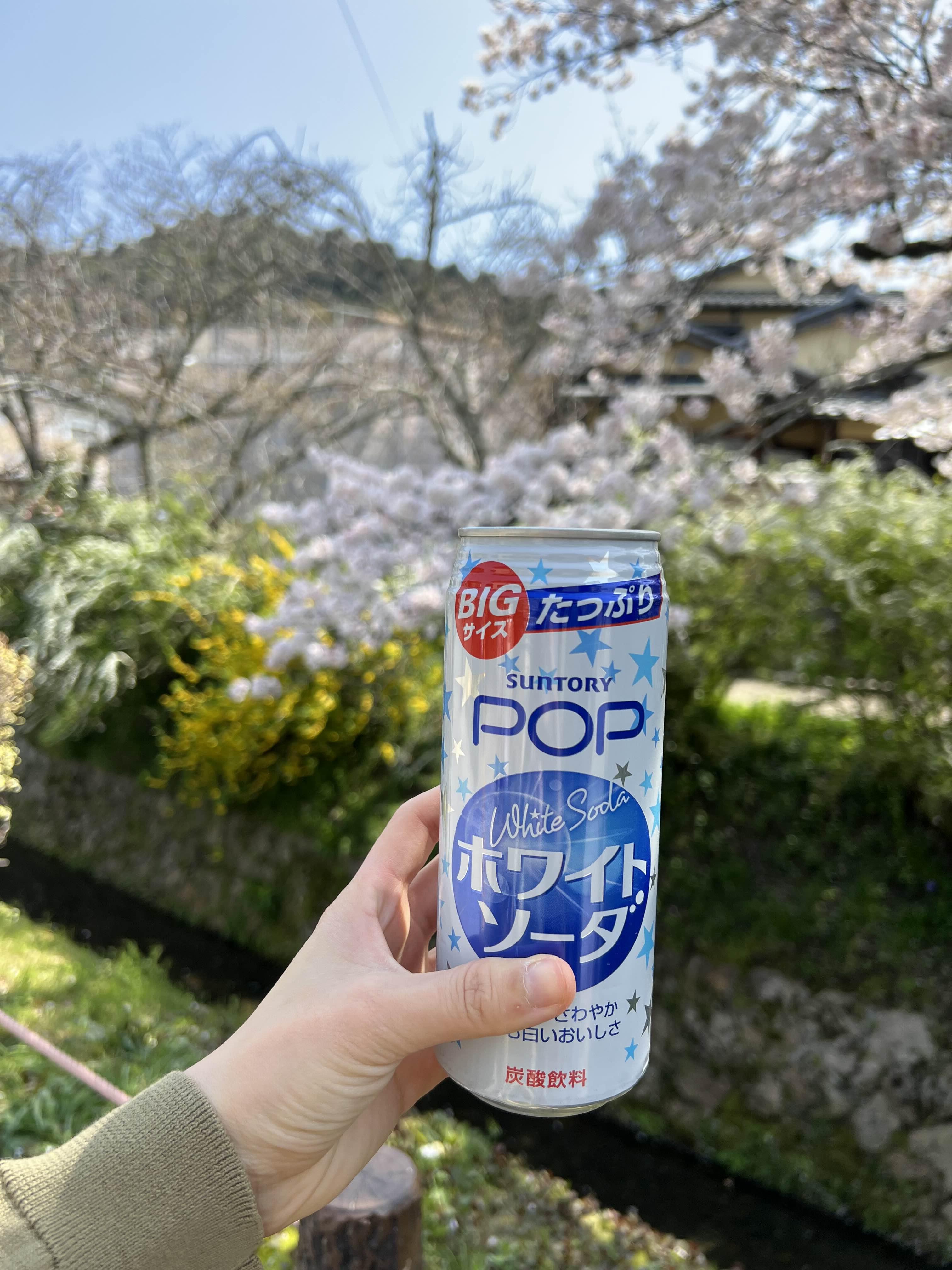 교토 산책하기 좋은 길 철학의 길