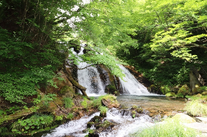 유후인 여행 추천 오이케 용수군