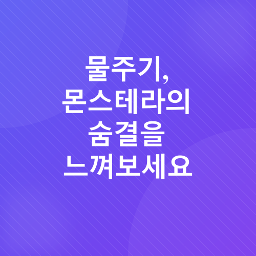 몬스테라 키우기_2