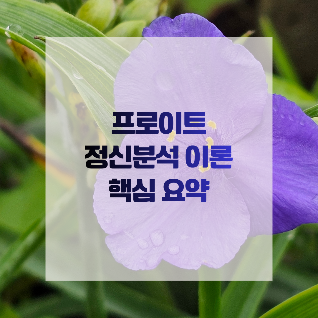 프로이트 정신분석 이론 핵심 요약