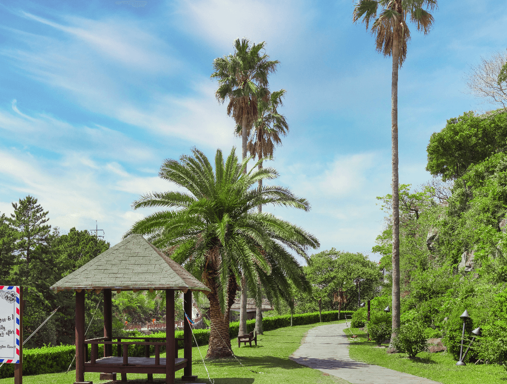 켄싱턴 가을 패키지 지금 확인하세요