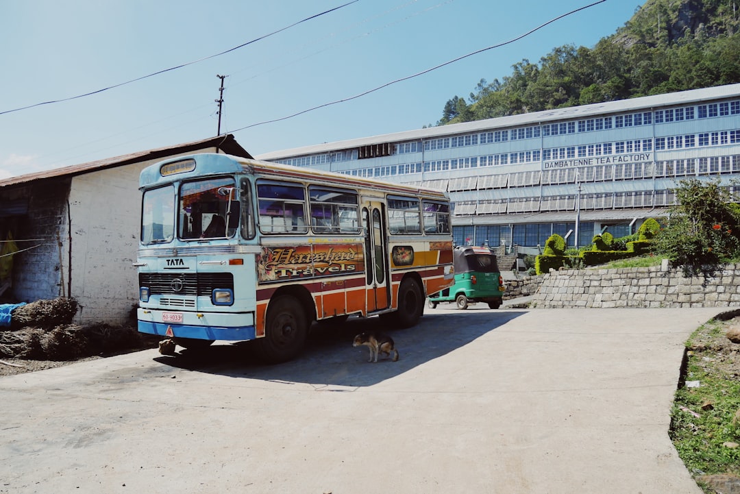 Hangang Bus