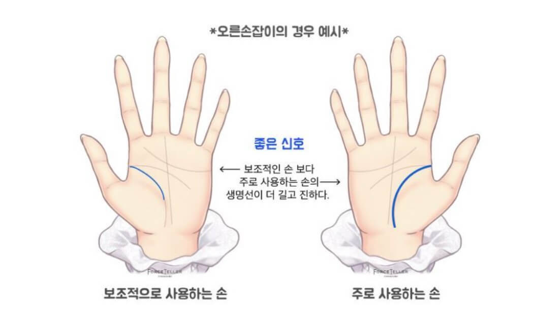 여자 손금 보는 법