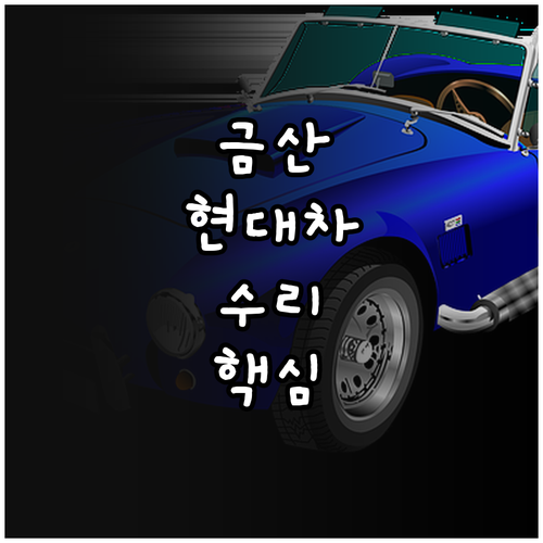 금산 현대자동차 서비스 네트워크 찾기..