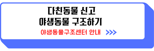 로드킬 사체처리 신고