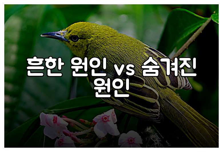 흔한 원인 vs 숨겨진 원인