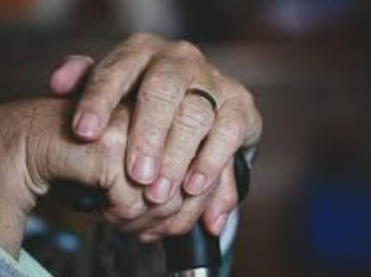 노화 : 자연스러운 변화