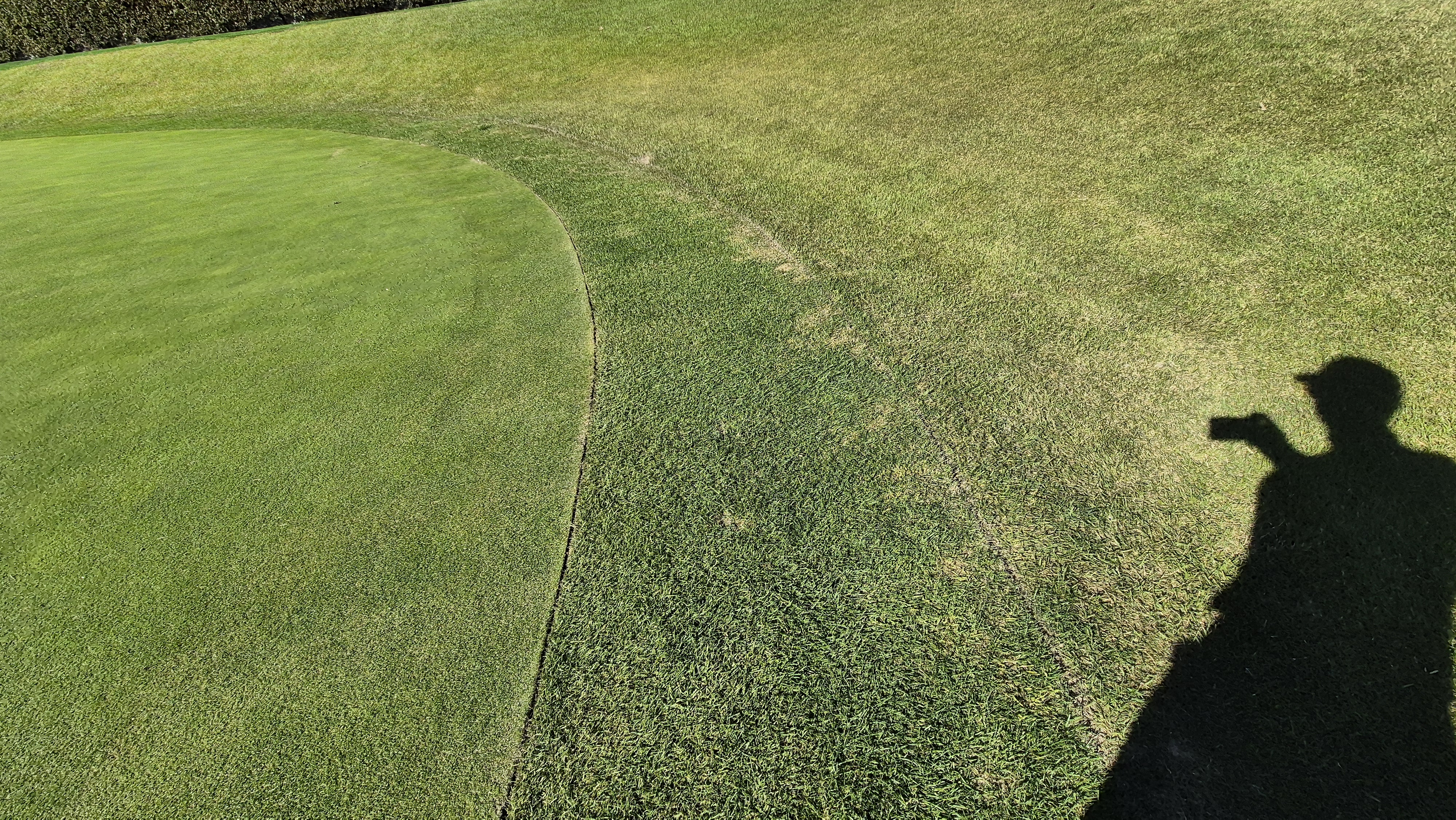 떼제베cc 동-북 코스 그린 관리 상태