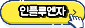 인플루엔자(Influenza (Flu))