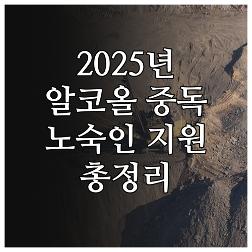 2025 알코올 중독 노숙인 지원 서..