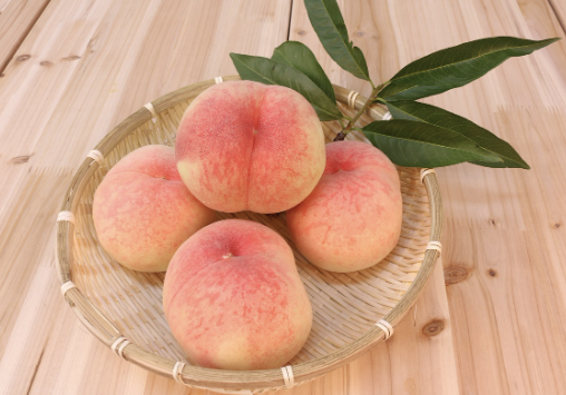 복숭아 보관방법 3가지 총정리(ft. 복숭아 고르는 팁) 섬네일