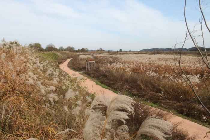 익산 용안생태습지