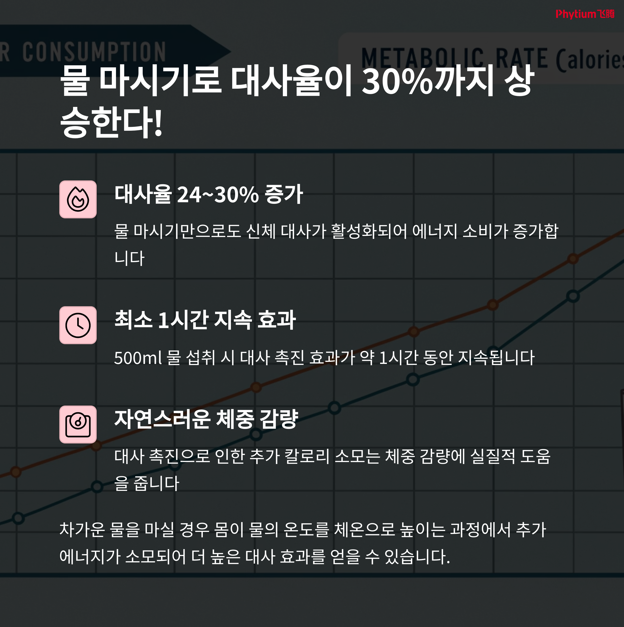 물을 마시는 것만으로도 대사율이 최대 30% 증가할 수 있다는 내용을 그래프와 아이콘을 활용해 설명하는 인포그래픽