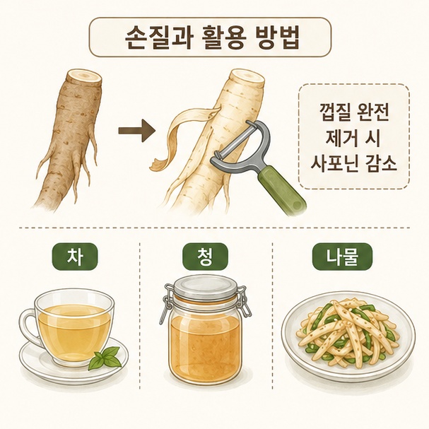 도라지 손질과 활용 방법 안내