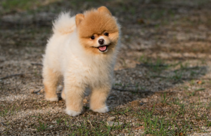 FAQ - 자주 묻는 질문 관련 사진