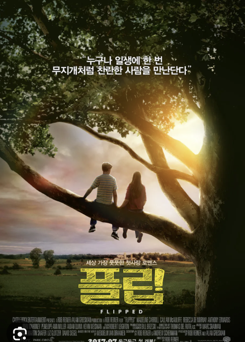 플립 영화속 한장면의 영화 포스터