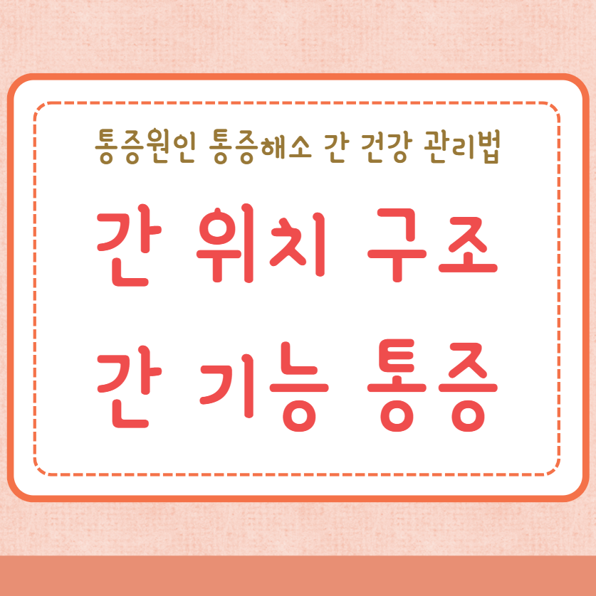 간 위치 구조 간의 기능