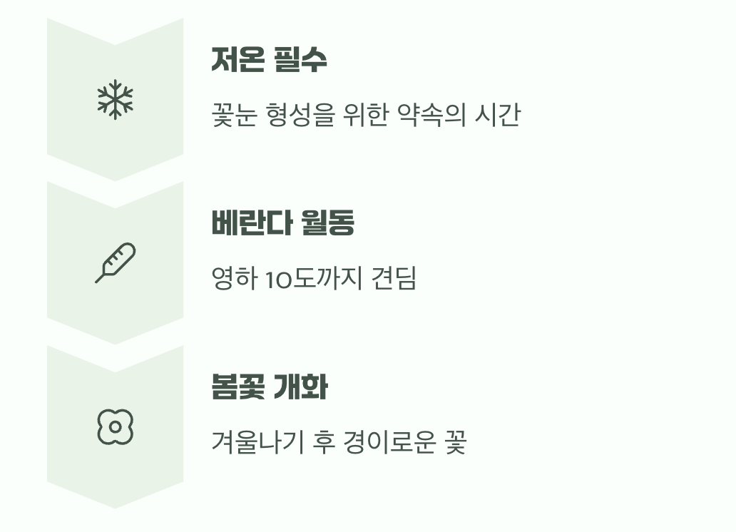 혹독한 겨울이 주는 선물