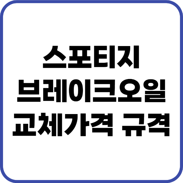 스포티지 브레이크오일