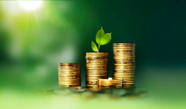 탄소중립포인트 에너지 혜택