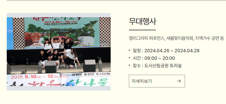 강원 N 홍천 산나물 축제 프로그램