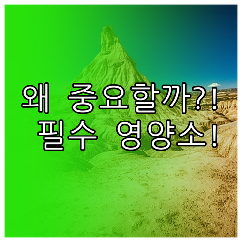 왜 아이 간식은 중요할까? 필수 영양..