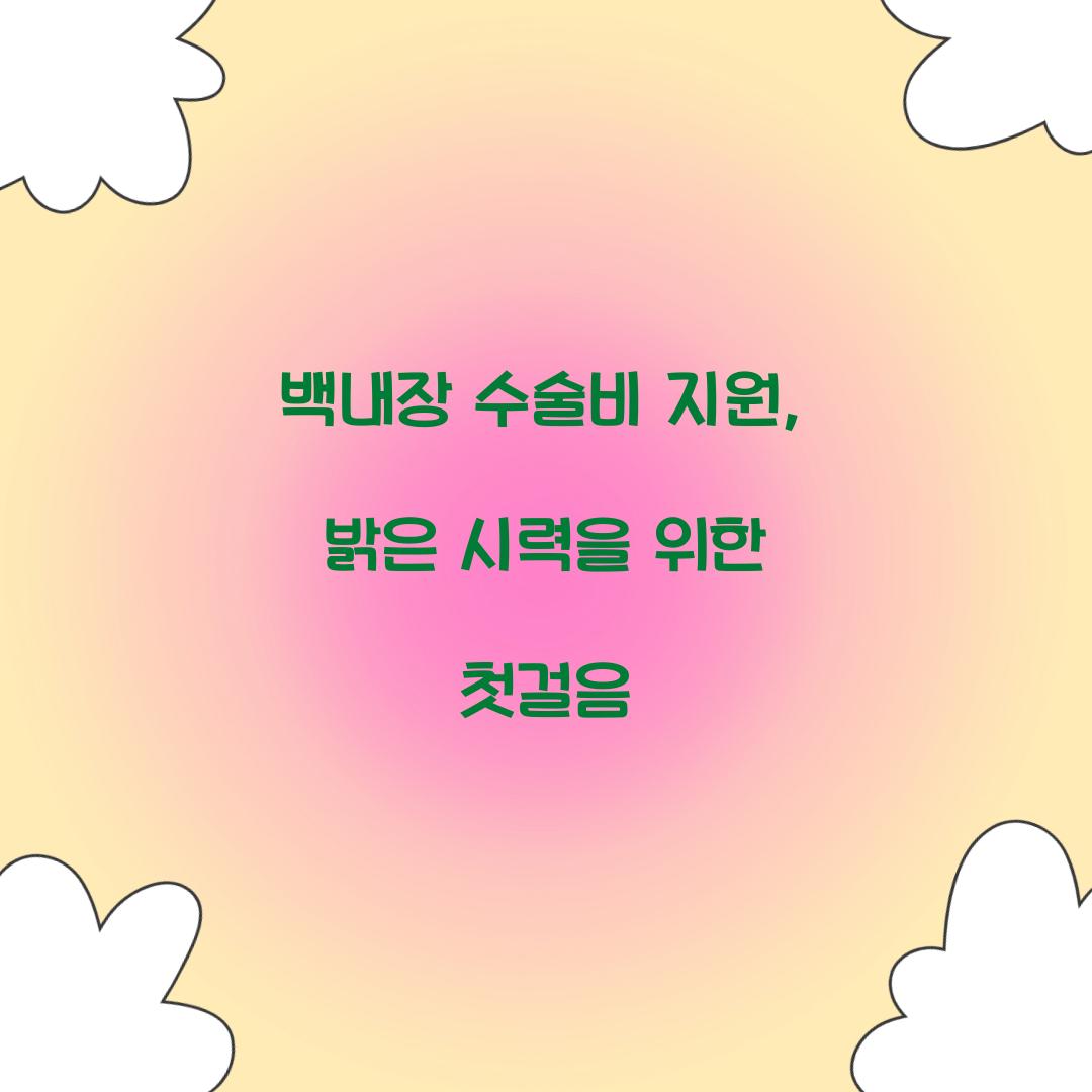 백내장 수술비 지원