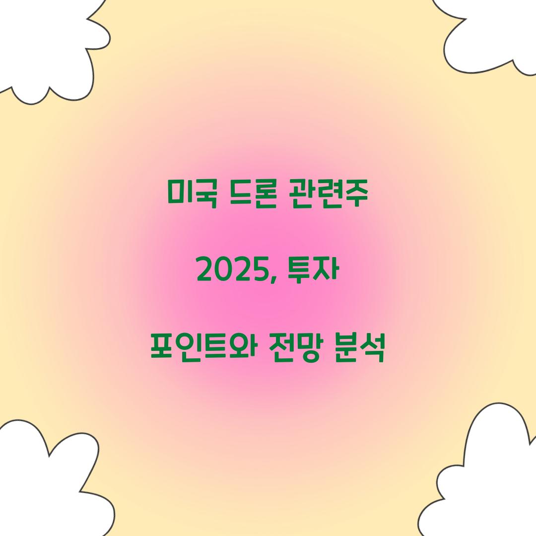 미국 드론 관련주 2025