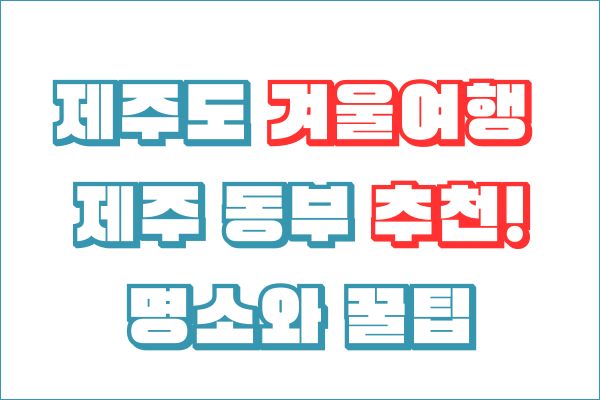 제주도 겨울여행 추천! 제주 동부 명소와 꿀팁